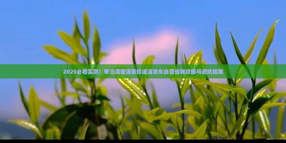 帝泊洱普洱茶珍速溶京东自营