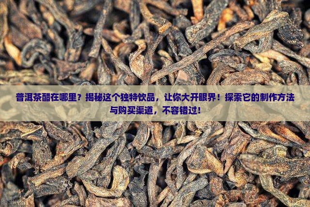 普洱茶醋在哪里