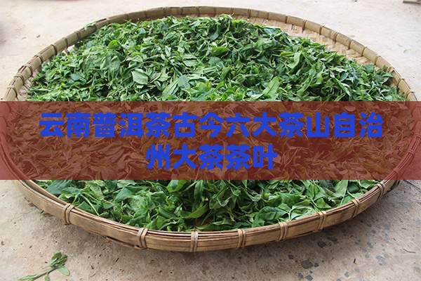 普洱茶古今六大茶山