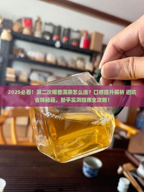 第二次喝普洱茶