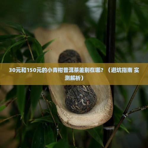 小青柑普洱茶买多少钱好