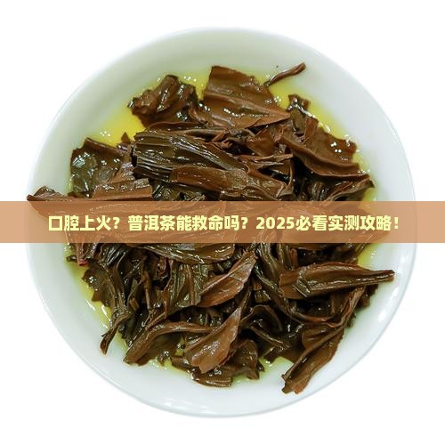 口腔上火能喝普洱茶吗