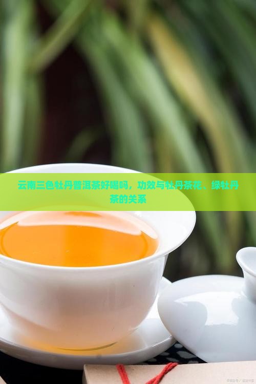 云南三色牡丹普洱茶