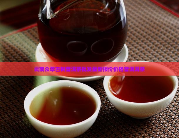 云南众萃古树普洱茶