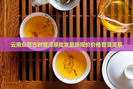 云南众萃古树普洱茶