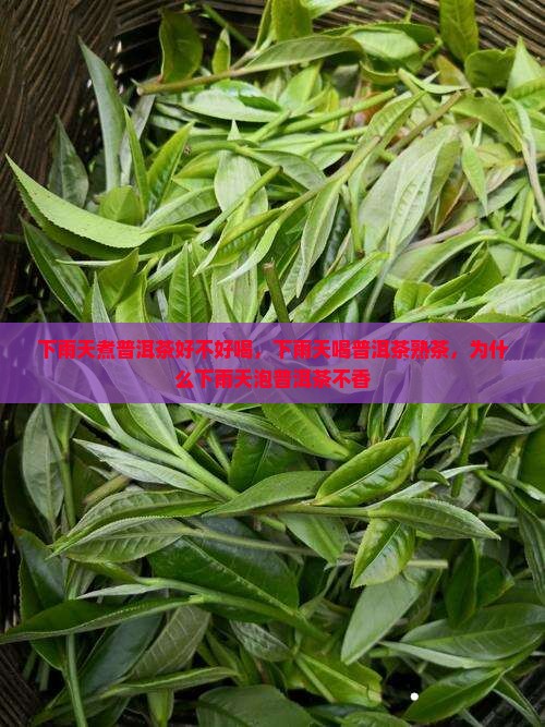下雨天煮普洱茶好不好喝