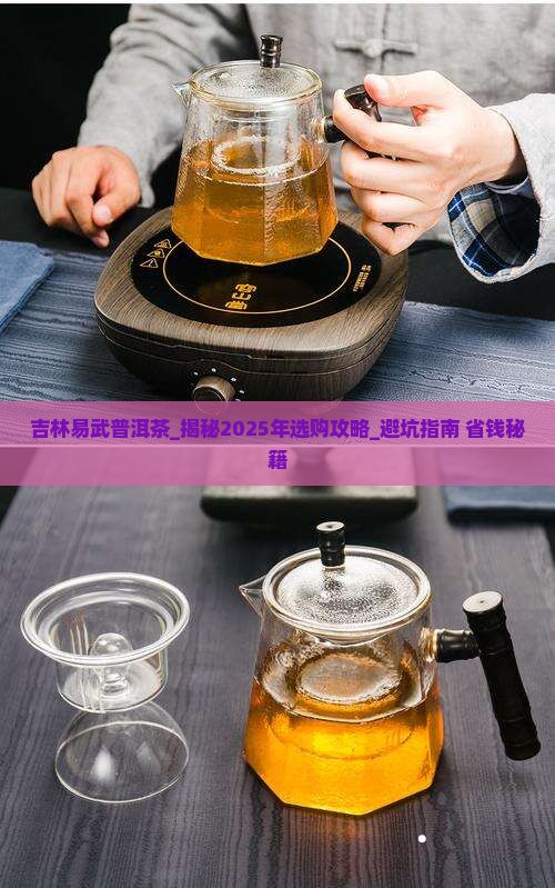 吉林易武普洱茶