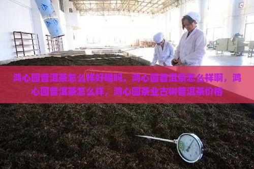 鸿心园普洱茶怎么样