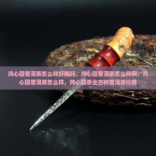 鸿心园普洱茶怎么样