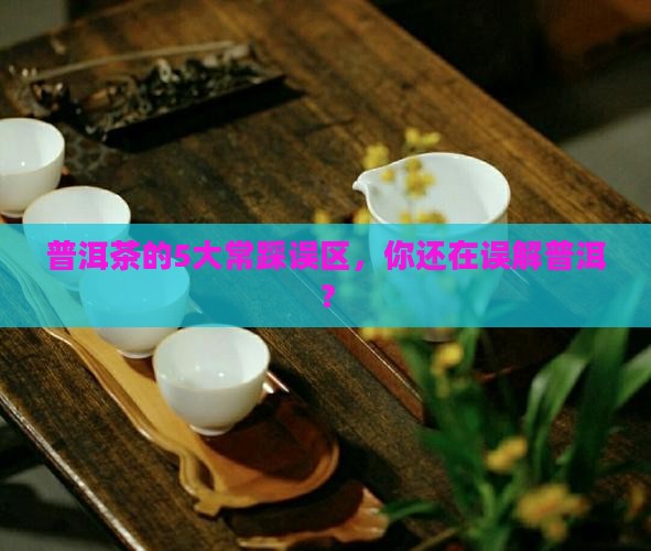 普洱茶的5大常踩误区