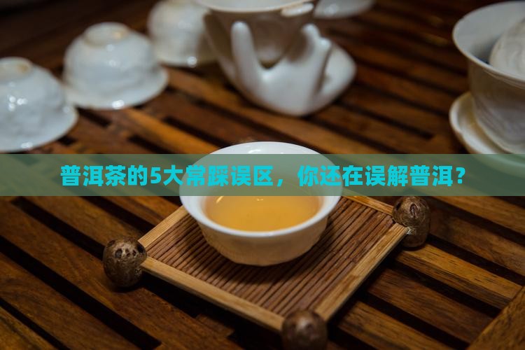 普洱茶的5大常踩误区