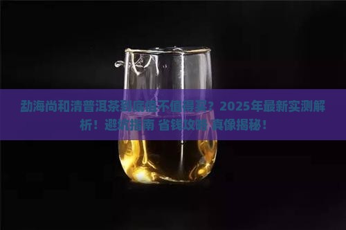 勐海尚和清普洱茶