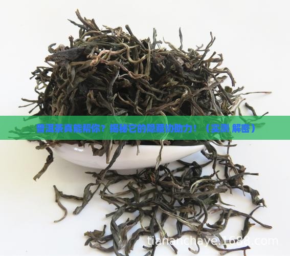 普洱茶协助作用