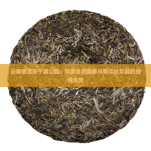 云南普洱茶宁湖公园