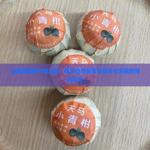 云南普洱茶宁湖公园