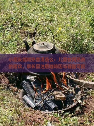 小朋友能喝熟普洱茶么