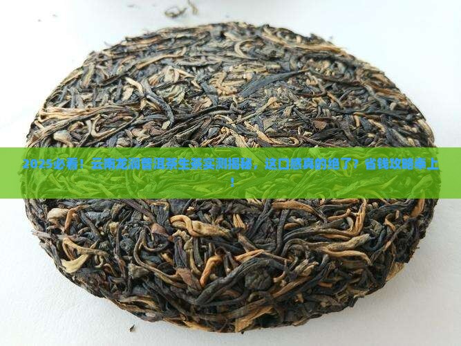 云南龙润普洱茶生茶