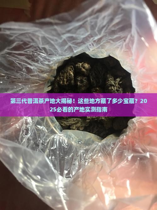 第三代普洱茶产地有哪些