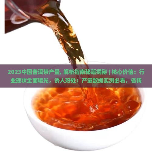 2023中国普洱茶产量
