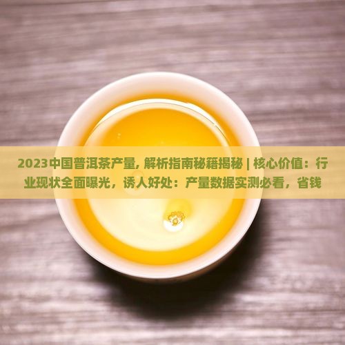 2023中国普洱茶产量