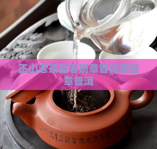正山老茶堂老班章