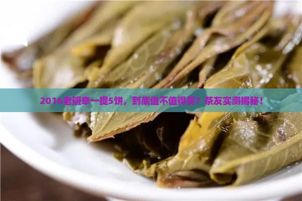 2016老班章一提5饼