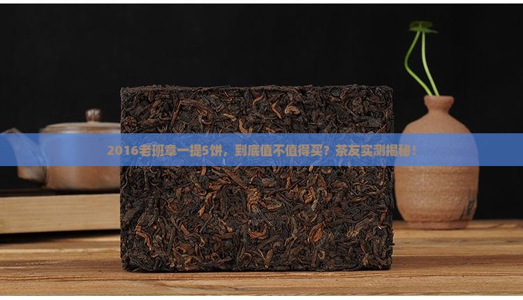2016老班章一提5饼
