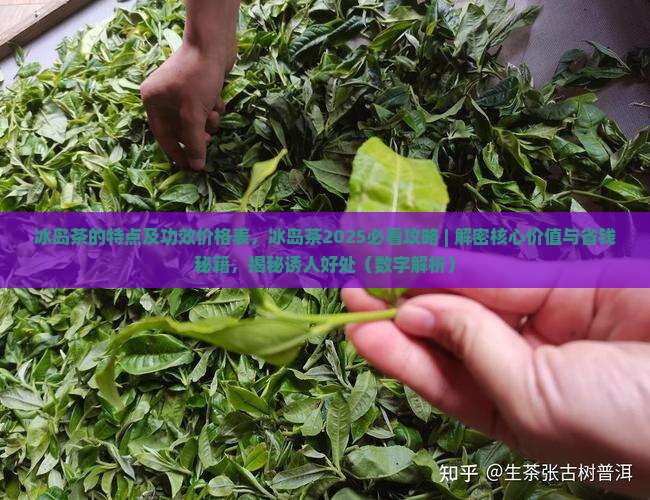 冰岛茶的特点及功效价格表
