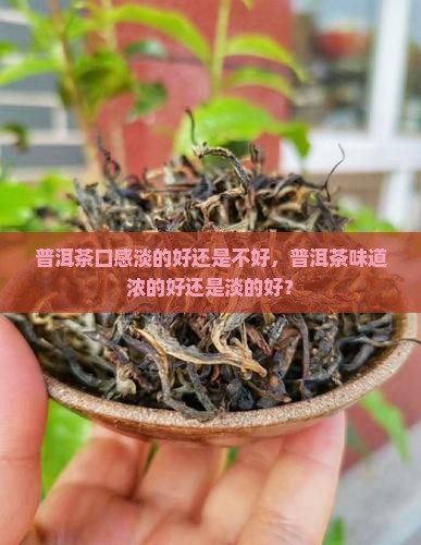 普洱茶口感淡的好还是不好
