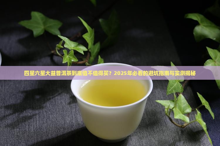 四星六星大益普洱茶