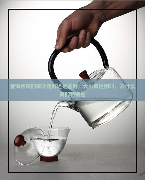普洱茶饼的茶叶粗好还是细好 普洱茶饼的茶叶粗好还是细好