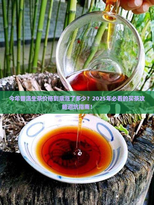 今年普洱茶生茶价格多少