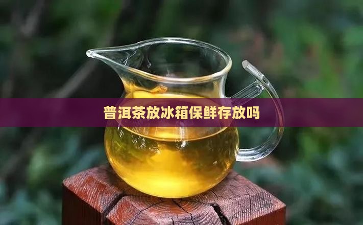 普洱茶放冰箱保鲜存放吗 普洱茶放冰箱保鲜存放吗