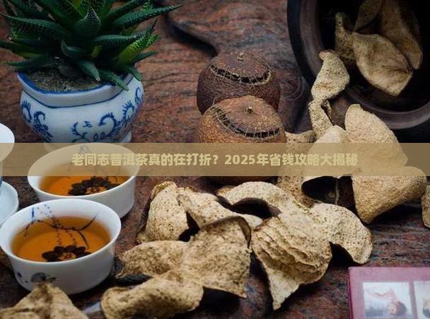 老同志普洱茶打折吗