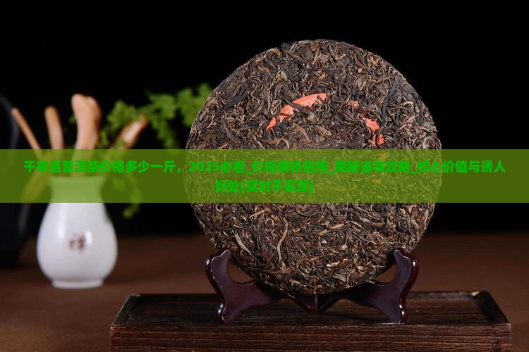千家道普洱茶价格多少一斤