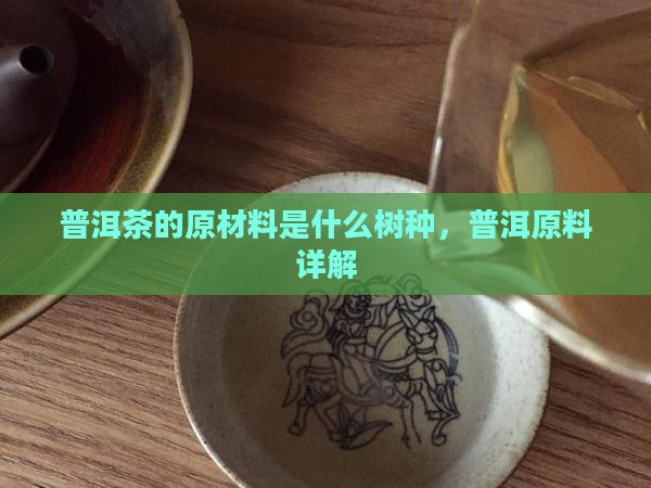 普洱茶的原材料是什么树种