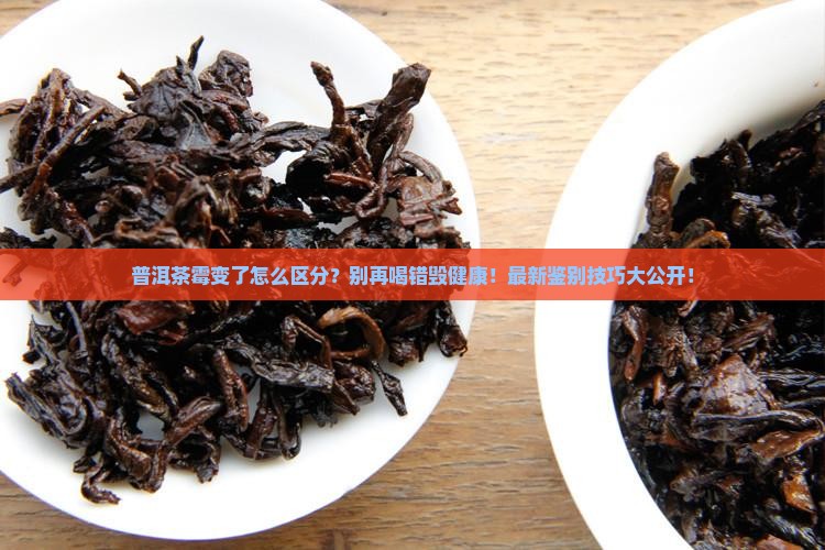 普洱茶霉变怎么区分