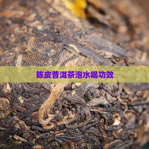 陈皮普洱茶泡水喝功效