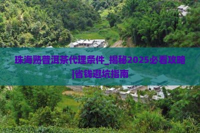 珠海熟普洱茶代理条件