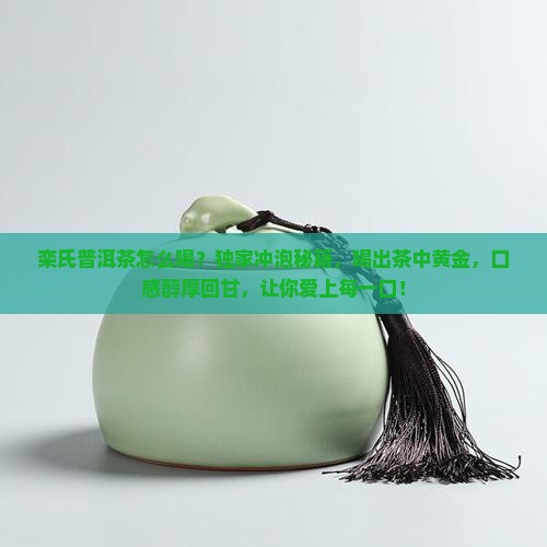栾氏普洱茶怎么喝