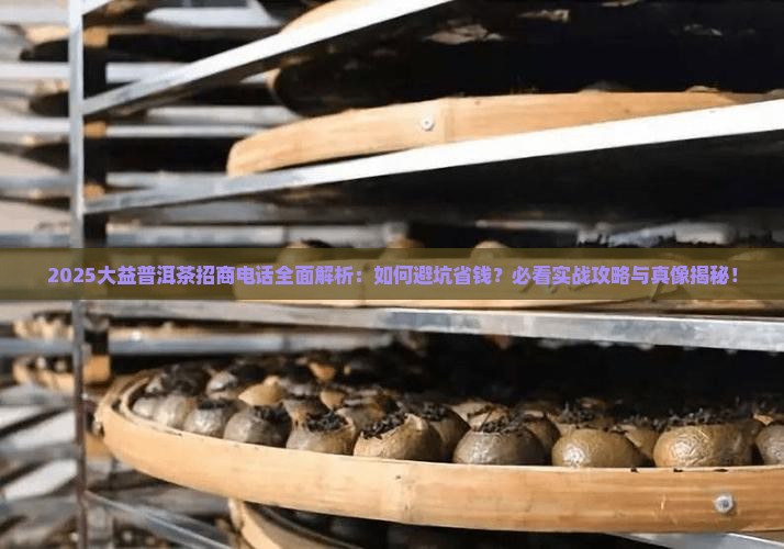 大益普洱茶招商电话