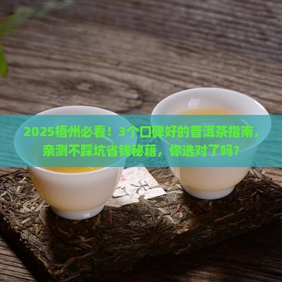 梧州口碑好的普洱茶