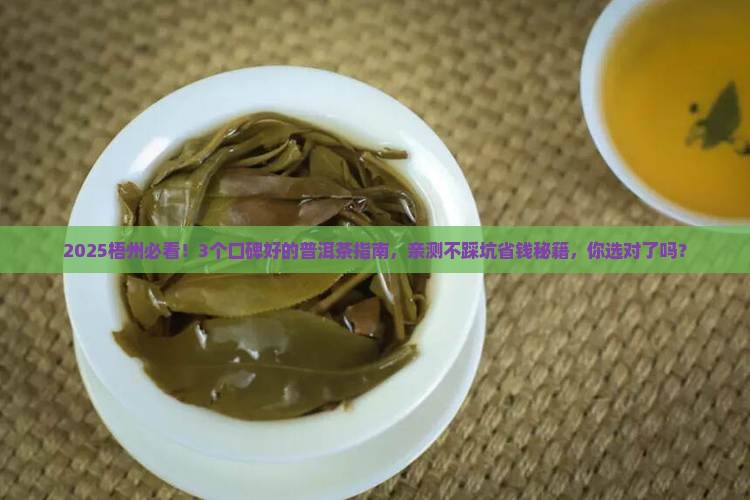 梧州口碑好的普洱茶