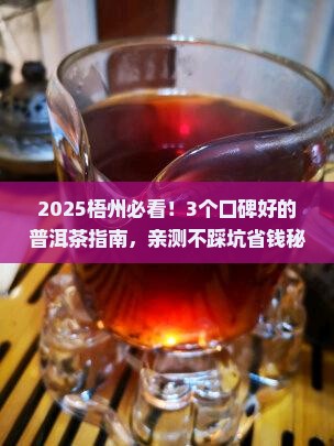 梧州口碑好的普洱茶