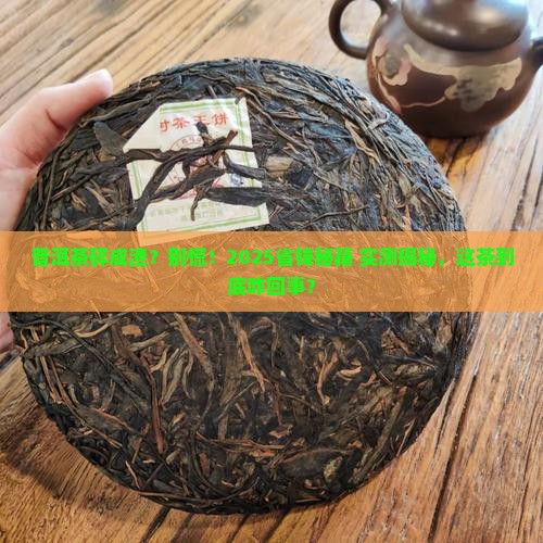 普洱茶为什么碎碎的