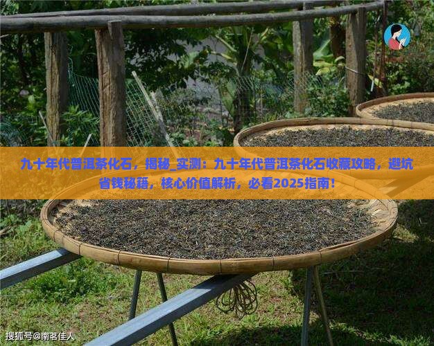 九十年代普洱茶化石