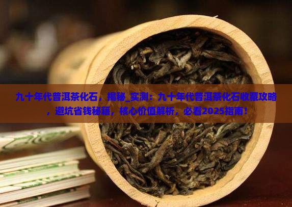 九十年代普洱茶化石