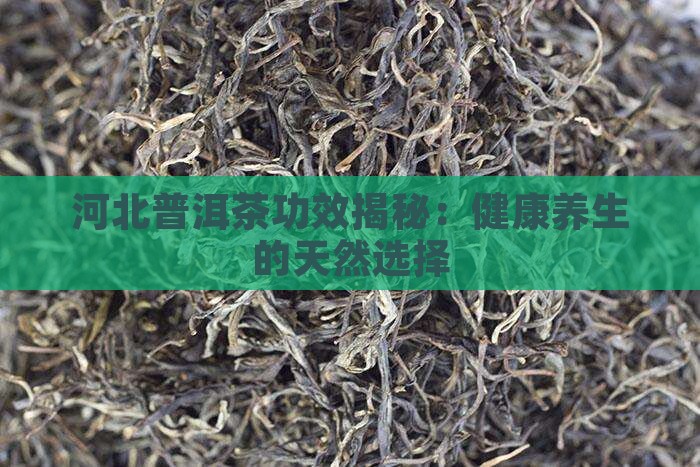 河北普洱茶功效 河北普洱茶功效
