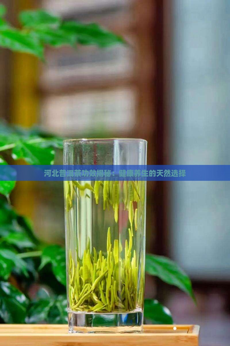 河北普洱茶功效 河北普洱茶功效