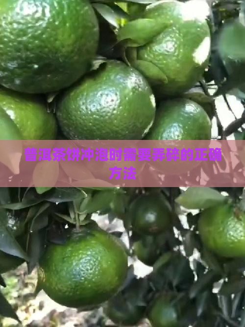 易武普洱茶饼冲泡时需要捣碎吗